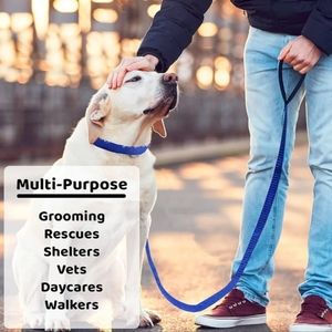 🚨ADD 2 Bundle 4 FREE🚨Purple 6ft Polyester Slip Lead